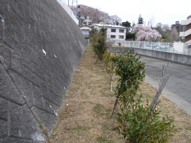 除草作業の後